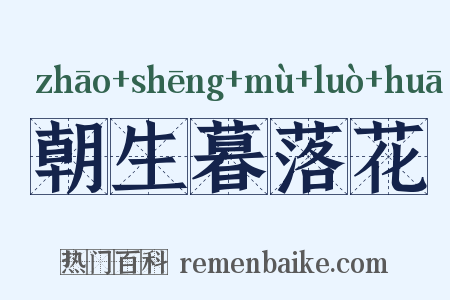 朝生暮落花是什么意思的图片